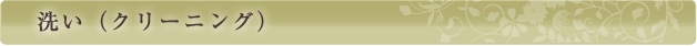洗い(クリーニング)